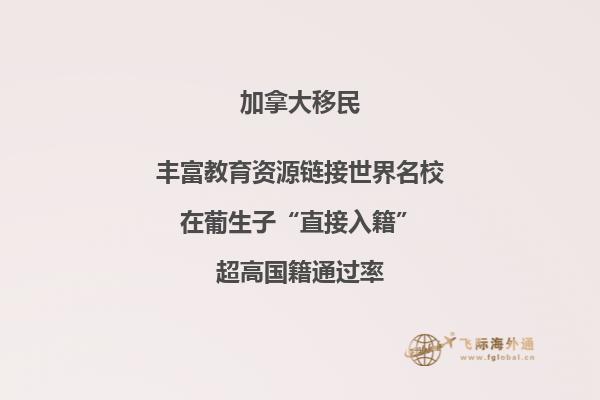 2020年加拿大NB省移民哪个城市更宜居