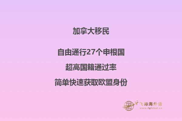 如何申请英国留学项目