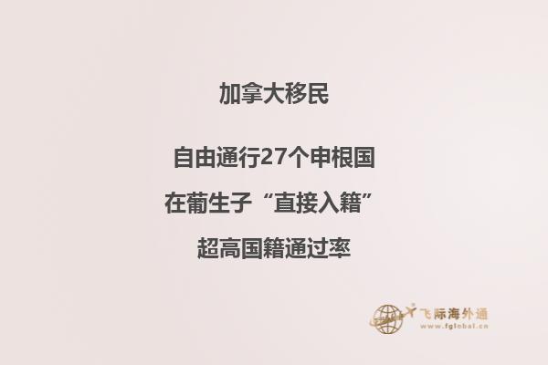 加拿大留学移民专业选什么，优先选择以下专业！