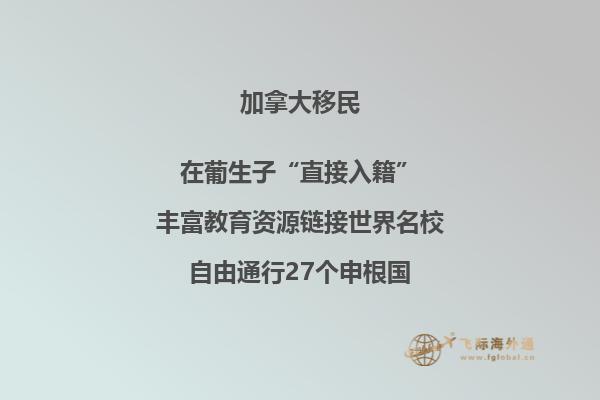 加拿大可以贷款买房吗