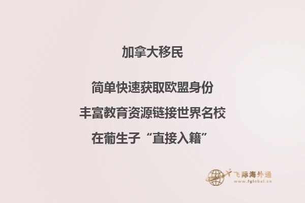 加拿大NB省冷吗, NB省投资移民好吗?
