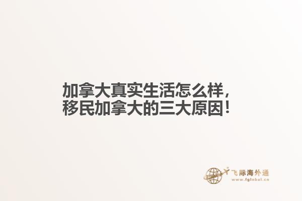 加拿大真实生活怎么样
