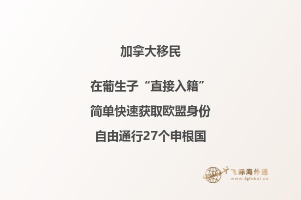 加拿大真实生活怎么样