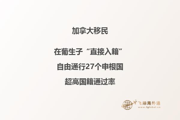 加拿大萨省投资移民政策,申请流程复杂吗?