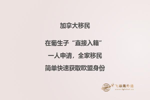 技术移民加拿大有什么条件