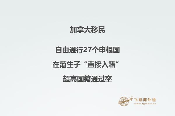 办理加拿大移民要求
