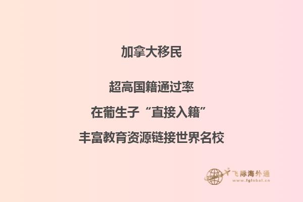 2020加拿大移民趋势，市提名计划即将来袭！