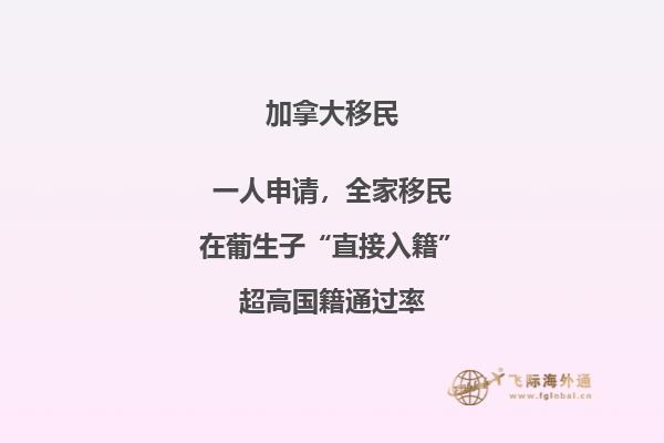 怎么申请加拿大技术移民