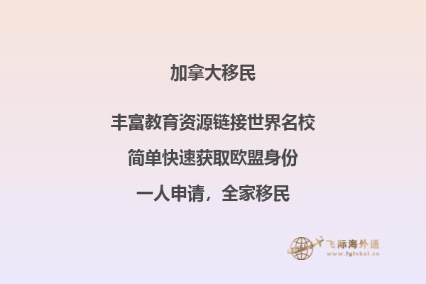 华人移民加拿大的真实案例