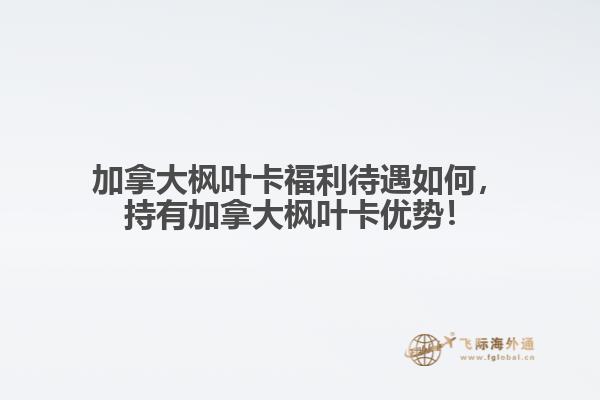 加拿大枫叶卡福利待遇如何