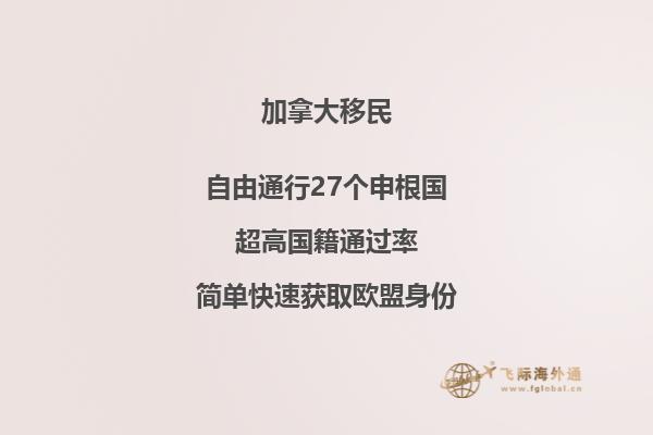 加拿大副申请人学历需要多少,加拿大移民方式有哪些?