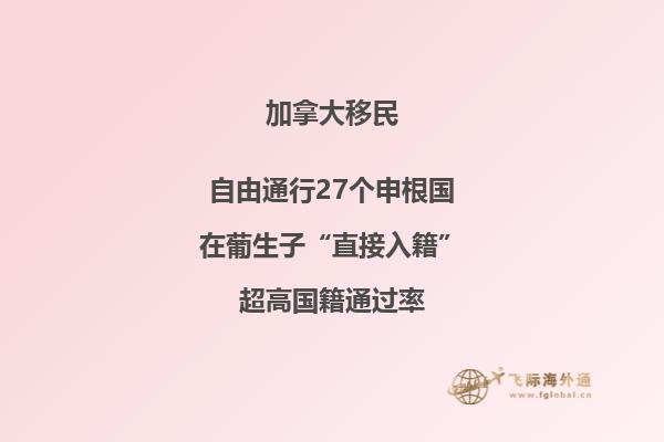 加拿大小学留学申请流程