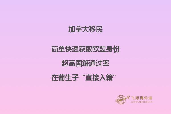 加拿大移民养老有保障吗