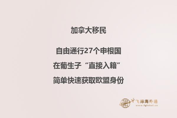 加拿大魁北克投资移民金额，成功率高不高？