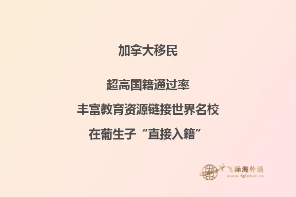 加拿大移民流程是什么
