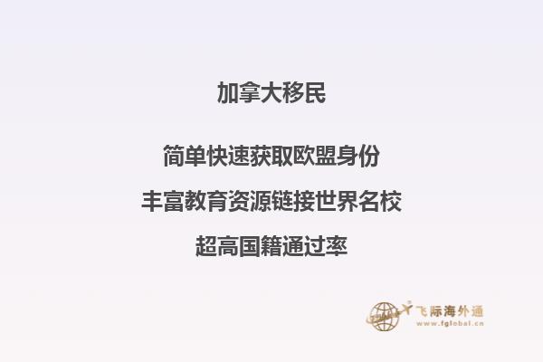 加拿大投资移民风险汇总,要避开哪些陷阱?