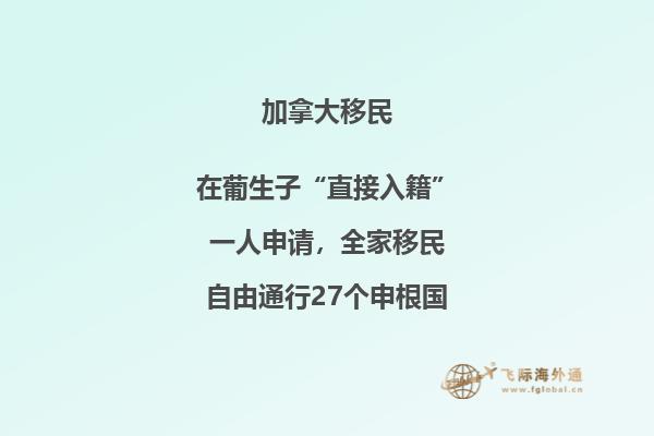 加拿大留学被拒原因有哪些,申请人要避开!