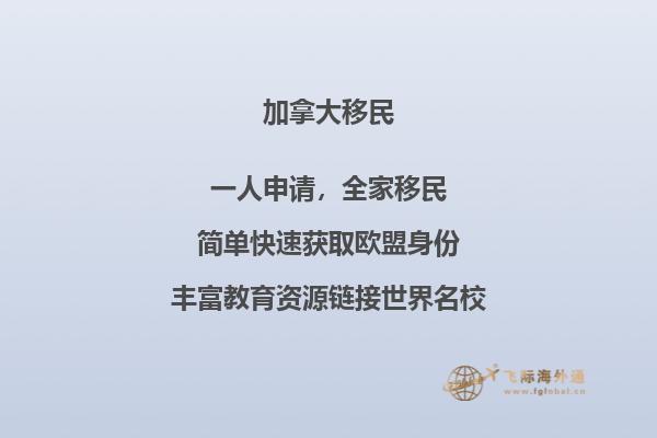 2020年关于加拿大移民项目