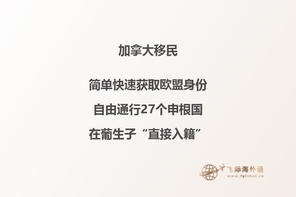 2020年高考生申请加拿大留学项目有哪几种路线?