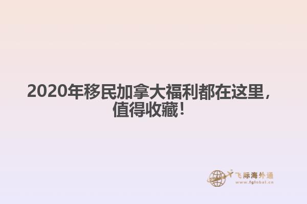 加拿大福利