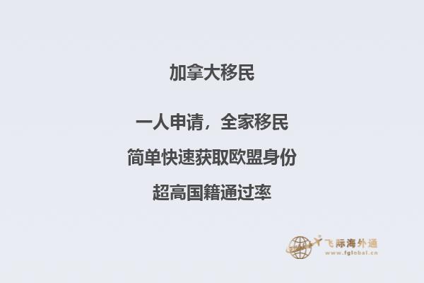 加拿大安省雇主担保移民申请流程详解,帮助你更快移民!