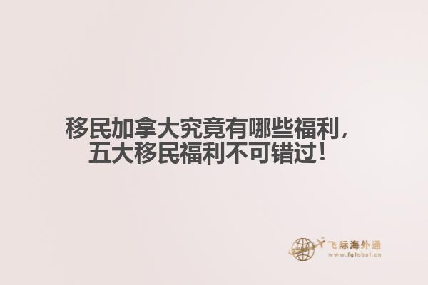 移民加拿大究竟有哪些福利，五大移民福利不可错过！