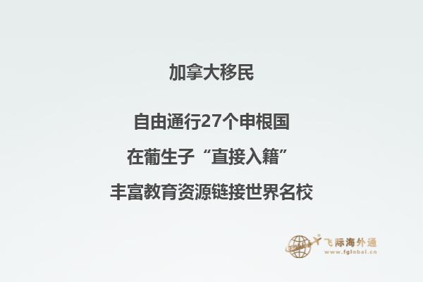 2020加拿大移民趋势稳中向好,申请机会变多!