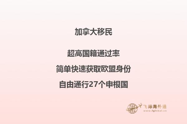 加拿大的塔