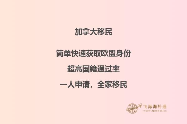紫藤萝花