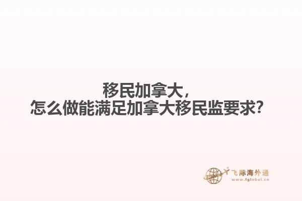 绿色的书