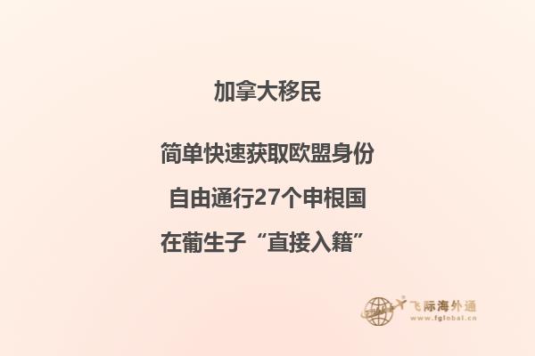 打开的书