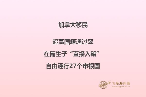 打开的书