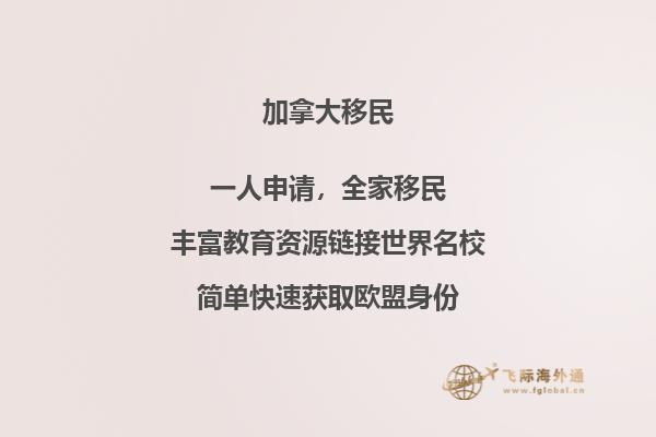 翻动的书