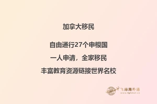 翻动的书