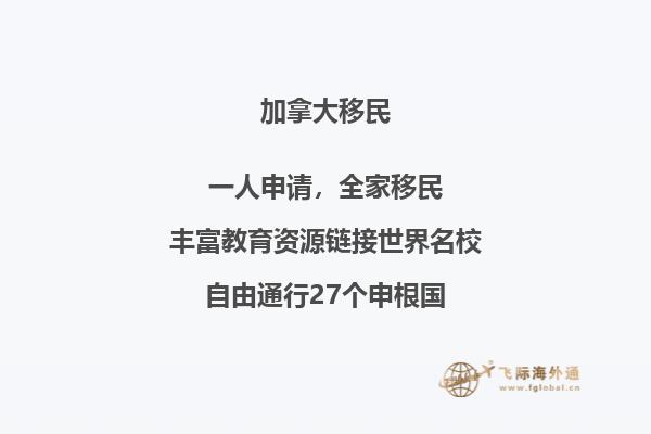 书架