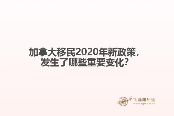 圣母书