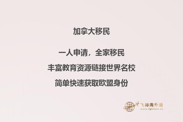 书架上的书