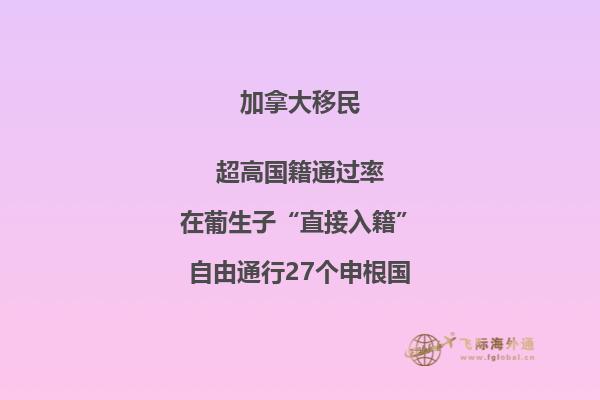 书架上的书