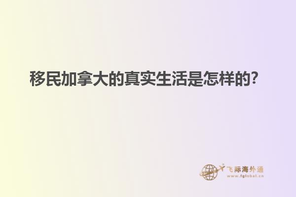 糖罐