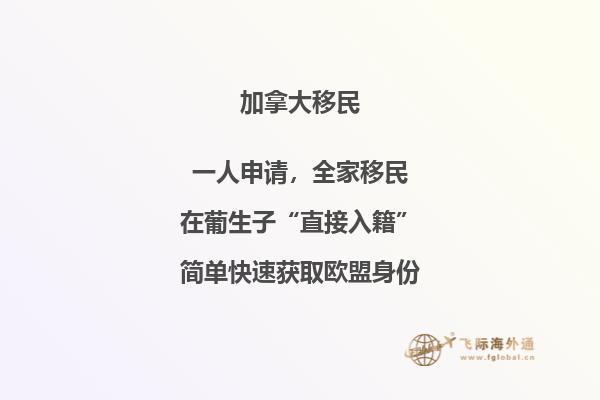玫瑰花