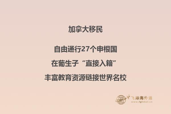翻开的书