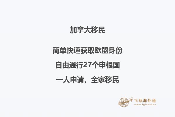 翻开的书