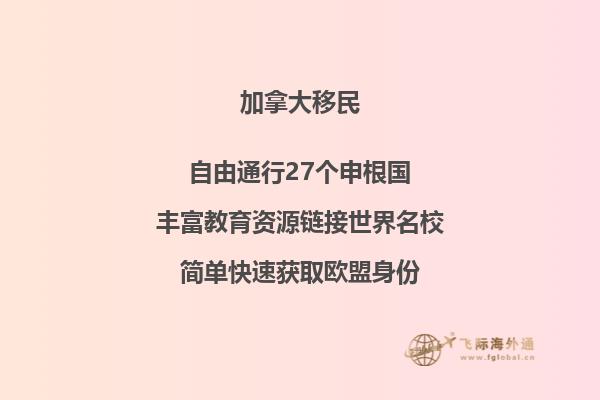 冬天树
