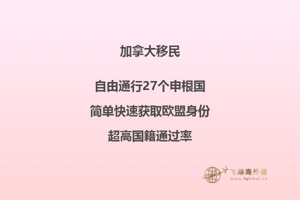 冬天树
