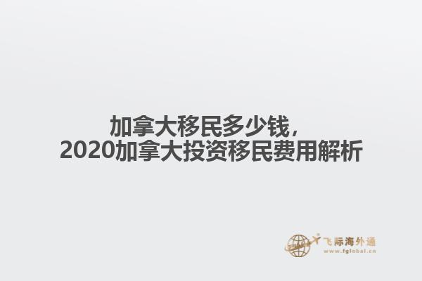 枯树