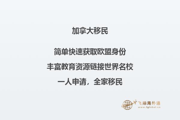 冬天树