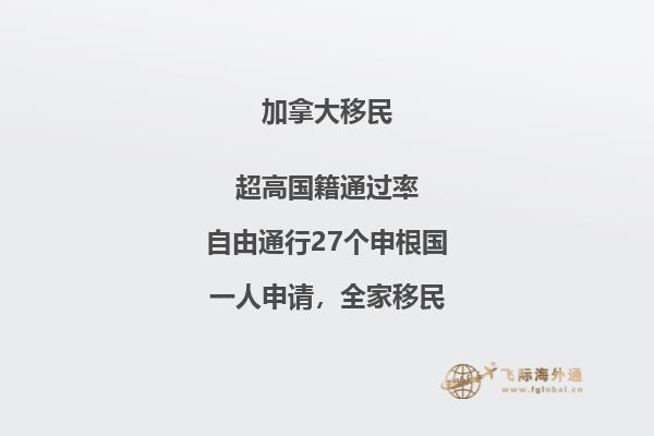 翻开的书