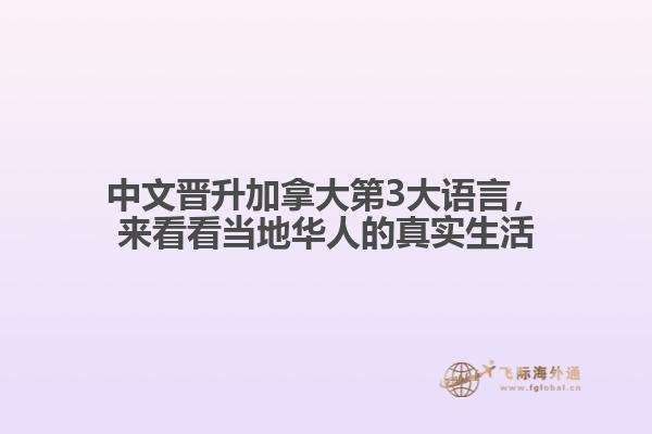 英文