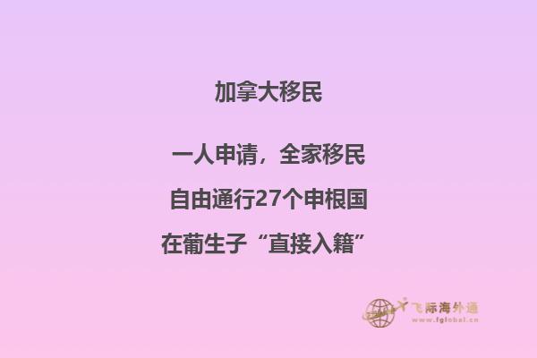 书架