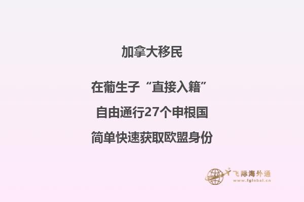 眼镜书